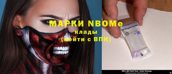 индика Кукмор