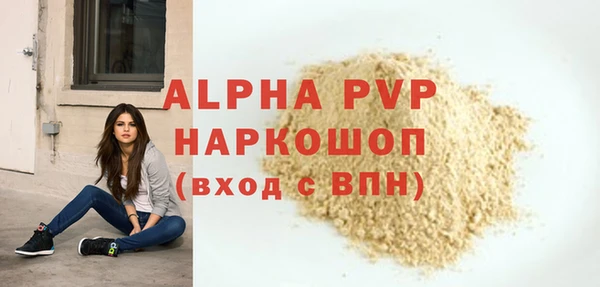 индика Кукмор