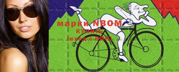 индика Кукмор