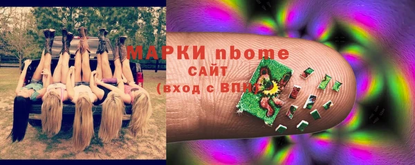 индика Кукмор
