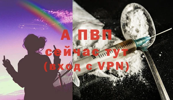 индика Кукмор