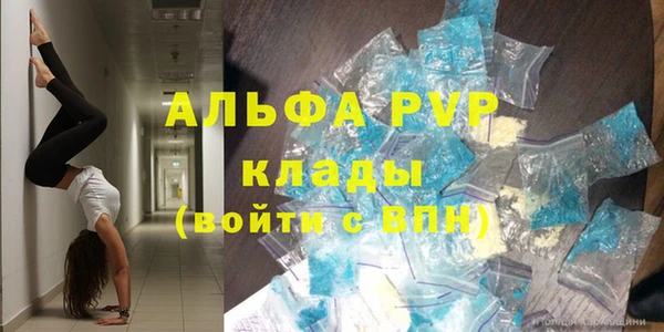 индика Кукмор