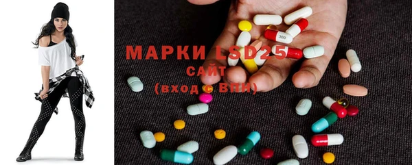 индика Кукмор