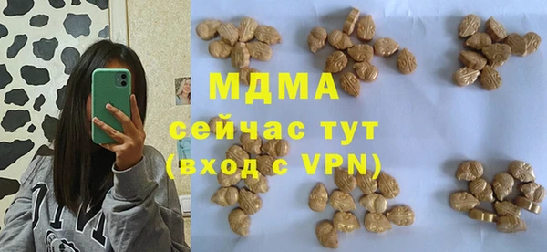 индика Кукмор